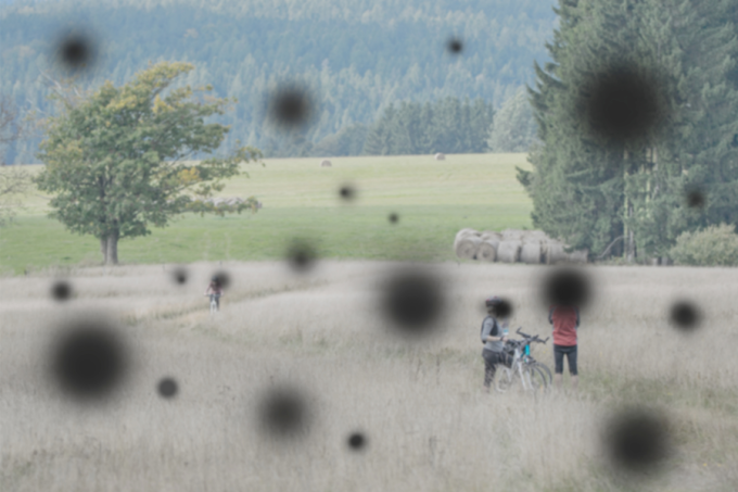 Męty w oku - co to? Od czego się biorą? 