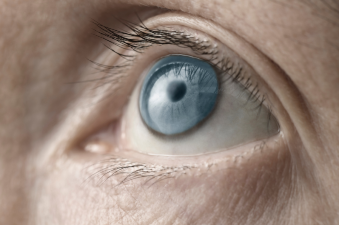 Oko. Niebieskie. Zbliżenie.