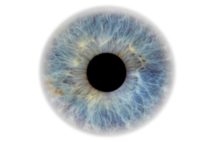 Tęcz&oacute;wka oka. Retinopatia.